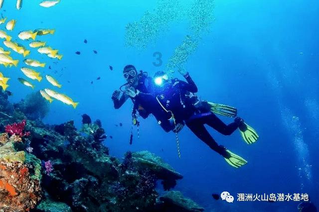 假劣物品